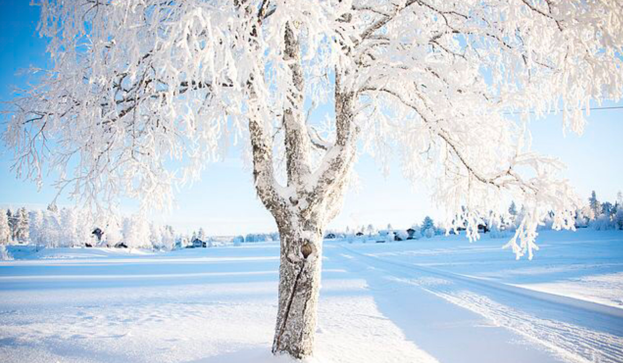 Skolbanken · Årstidsboken -Vinter