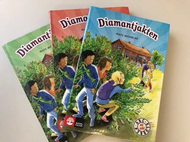 Diamantjakten diamantjakten