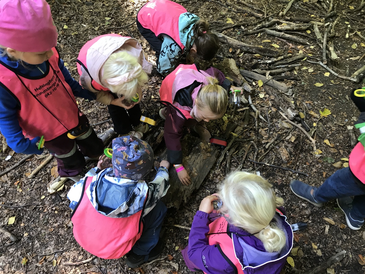 Pedagogisk Planering I Skolbanken: Rymdraketen - Natur Och Teknik