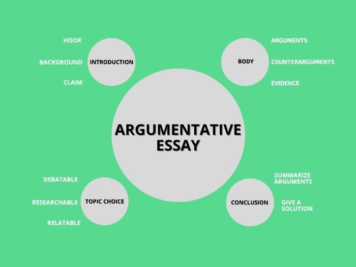 Pedagogisk Planering I Skolbanken Argumentative Text