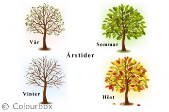 Skolbanken · Året runt i naturen
