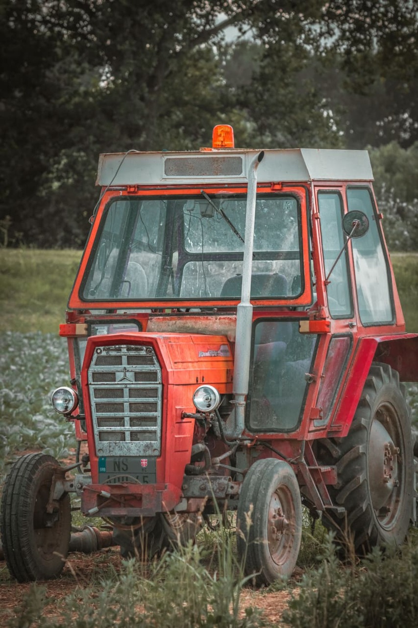 Skolbanken · Barns Delaktighet Och Inflytande