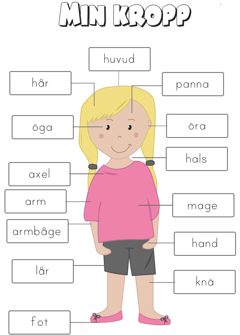 Pedagogisk Planering I Skolbanken Kroppen Årskurs 1