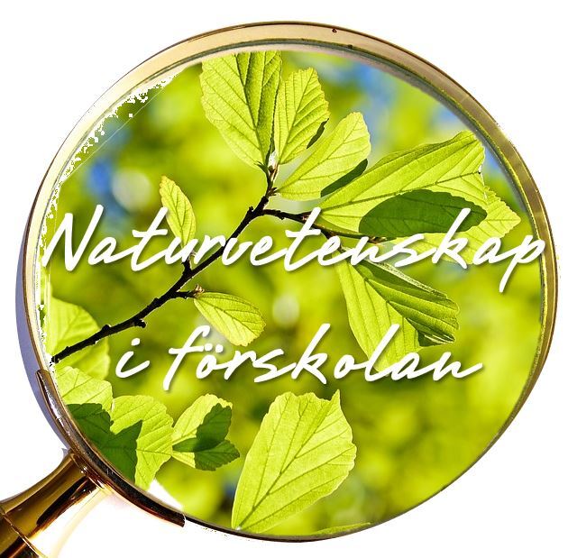 Pedagogisk Planering I Skolbanken Naturvetenskap