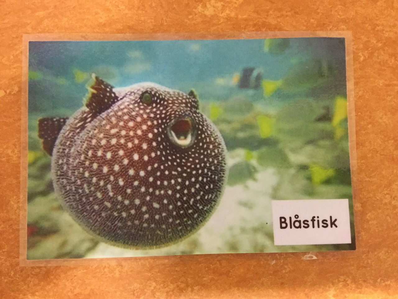 Bild för planering
