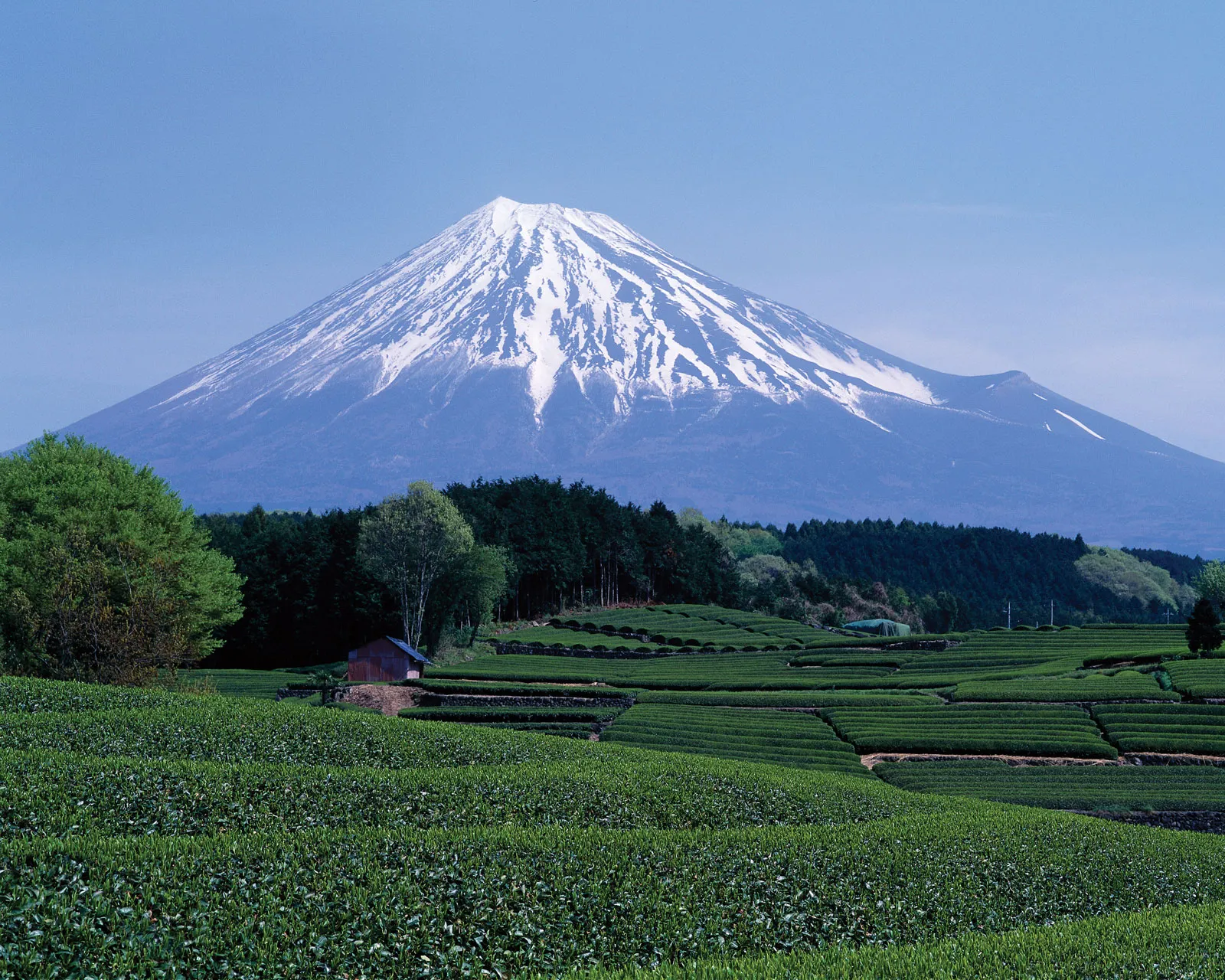 PlanEditor.ingress.alttext