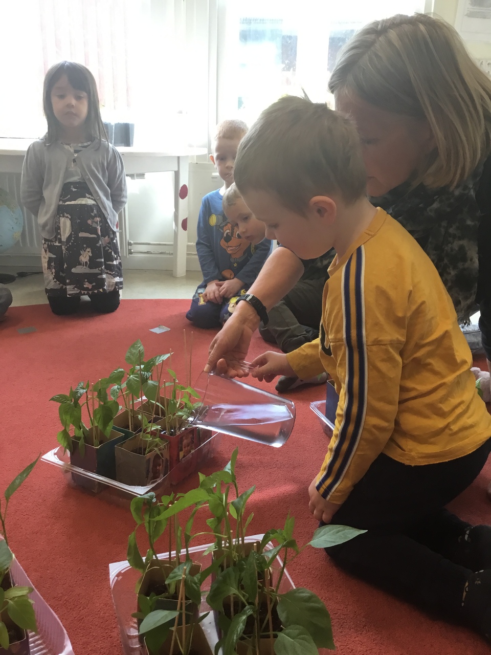 Pedagogisk Planering I Skolbanken Återbruk Och Odling