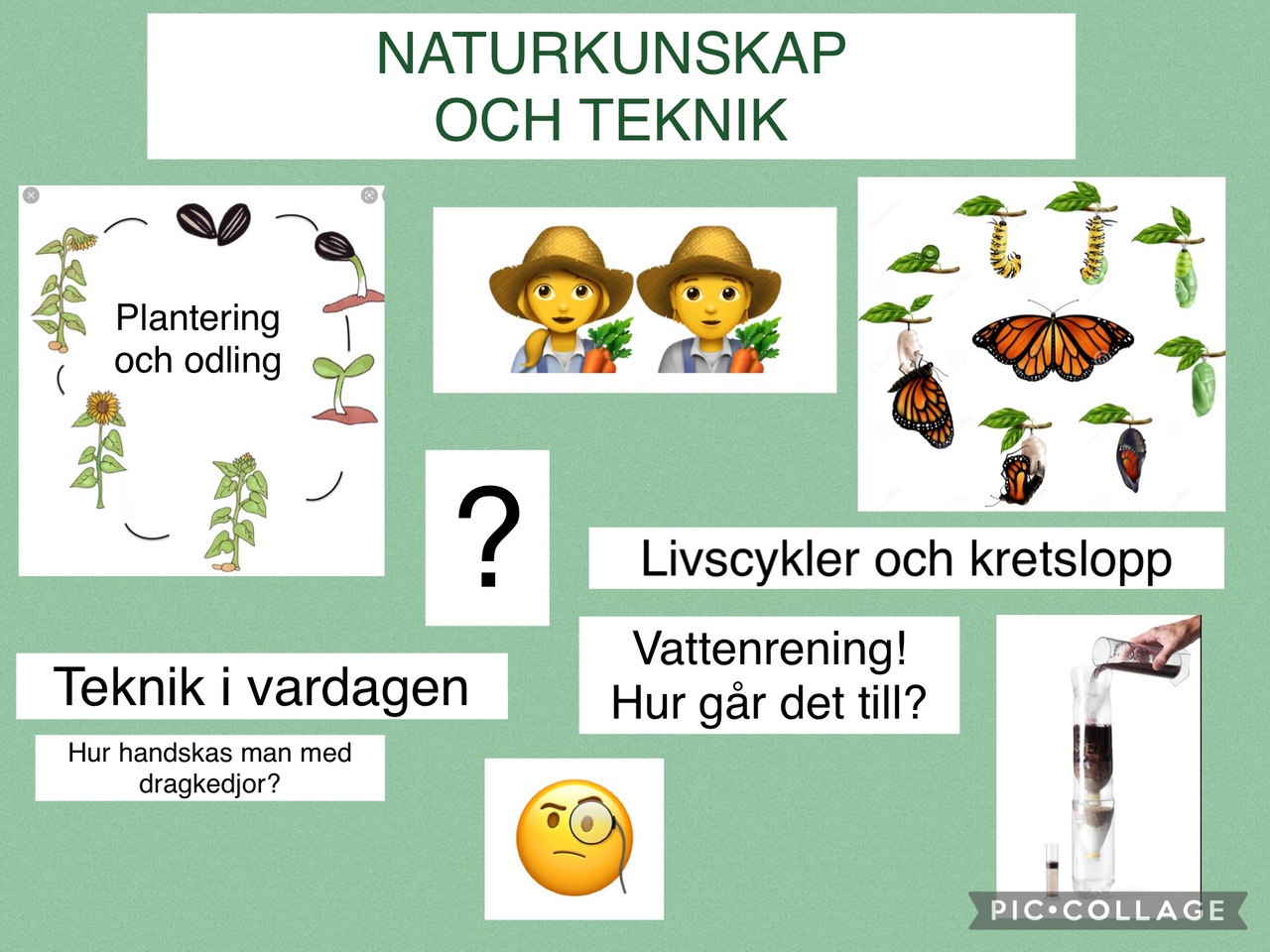 Skolbanken · Naturkunskap Och Teknik VT 2022