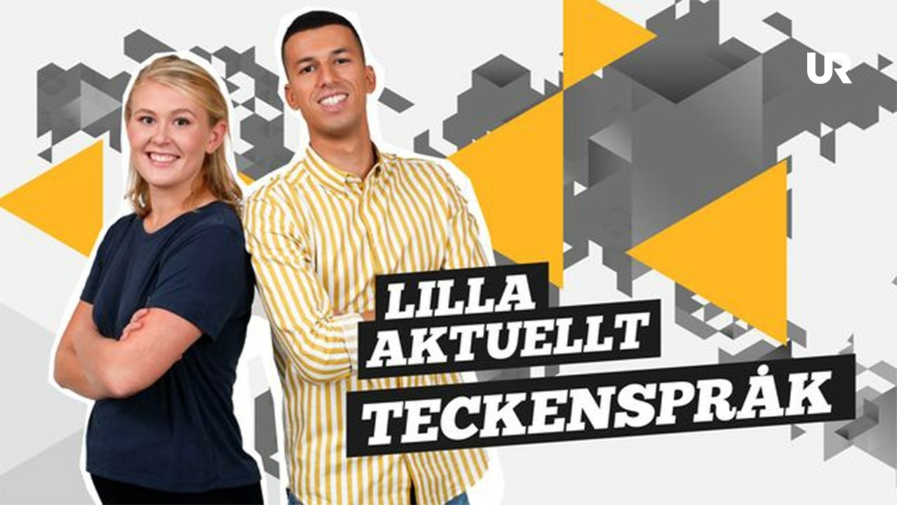 Pedagogisk Planering I Skolbanken: Lilla Aktuellt Teckenspråk